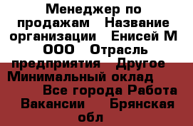 Менеджер по продажам › Название организации ­ Енисей-М, ООО › Отрасль предприятия ­ Другое › Минимальный оклад ­ 100 000 - Все города Работа » Вакансии   . Брянская обл.